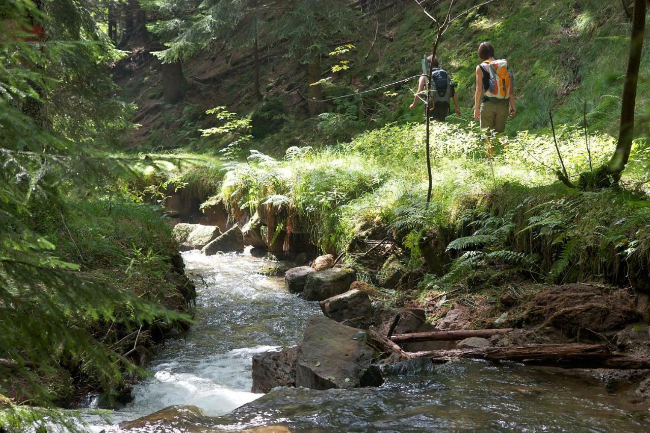 Ferienoase Hinterhermsdorf Dış mekan fotoğraf